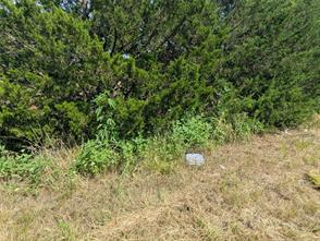 11008 County Road 670 - Photo 6