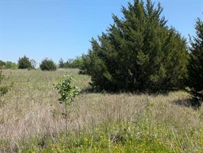 11008 County Road 670 - Photo 7