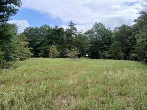 TBD County Road 4700 - Photo 15