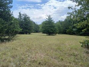 TBD County Road 4700 - Photo 17