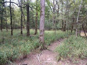 TBD County Road 4700 - Photo 23