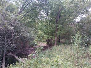 TBD County Road 4700 - Photo 24