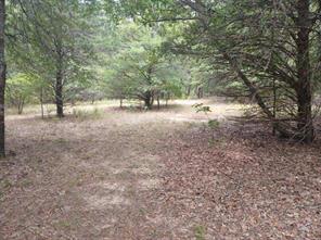 TBD County Road 4700 - Photo 26