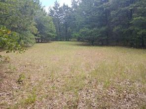 TBD County Road 4700 - Photo 27