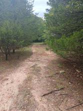 TBD County Road 4700 - Photo 28