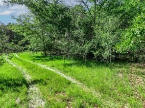 TBD County Road 4700 - Photo 6