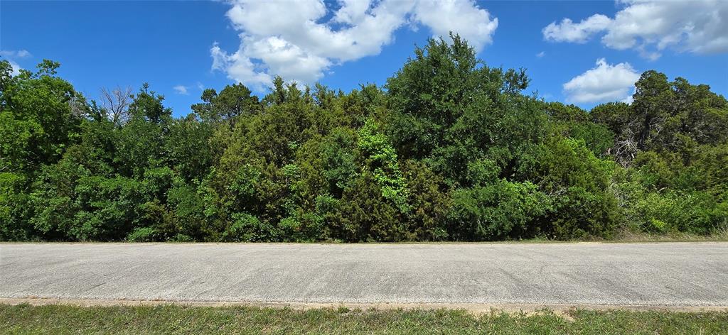 7721 Prestwick Drive - Photo 2