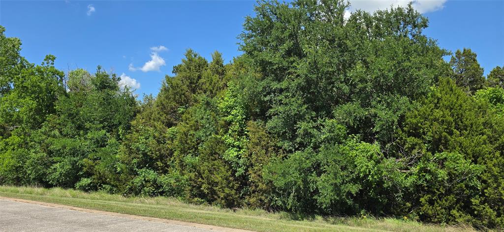 7721 Prestwick Drive - Photo 3