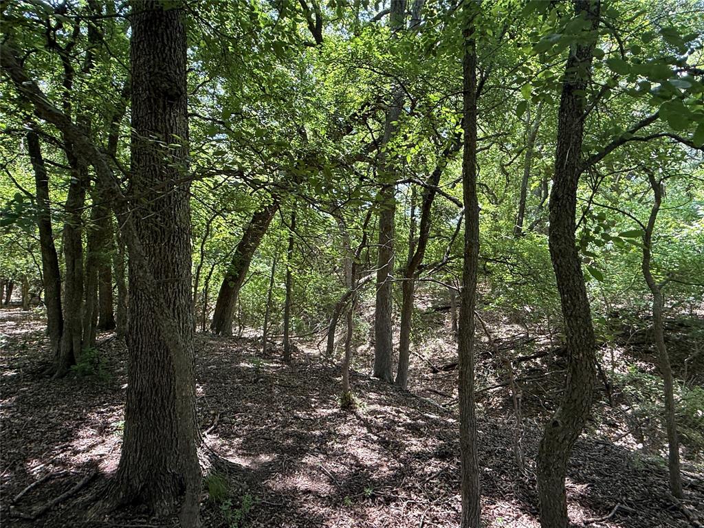 998 Hwy 22 E - Photo 34