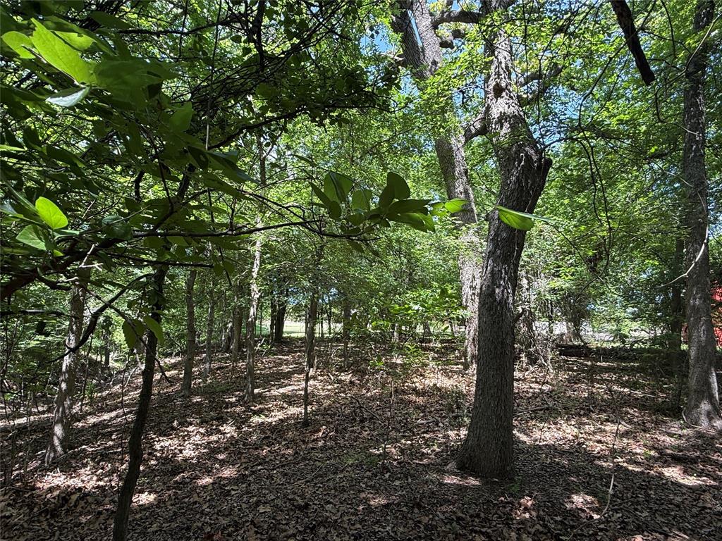 998 Hwy 22 E - Photo 37