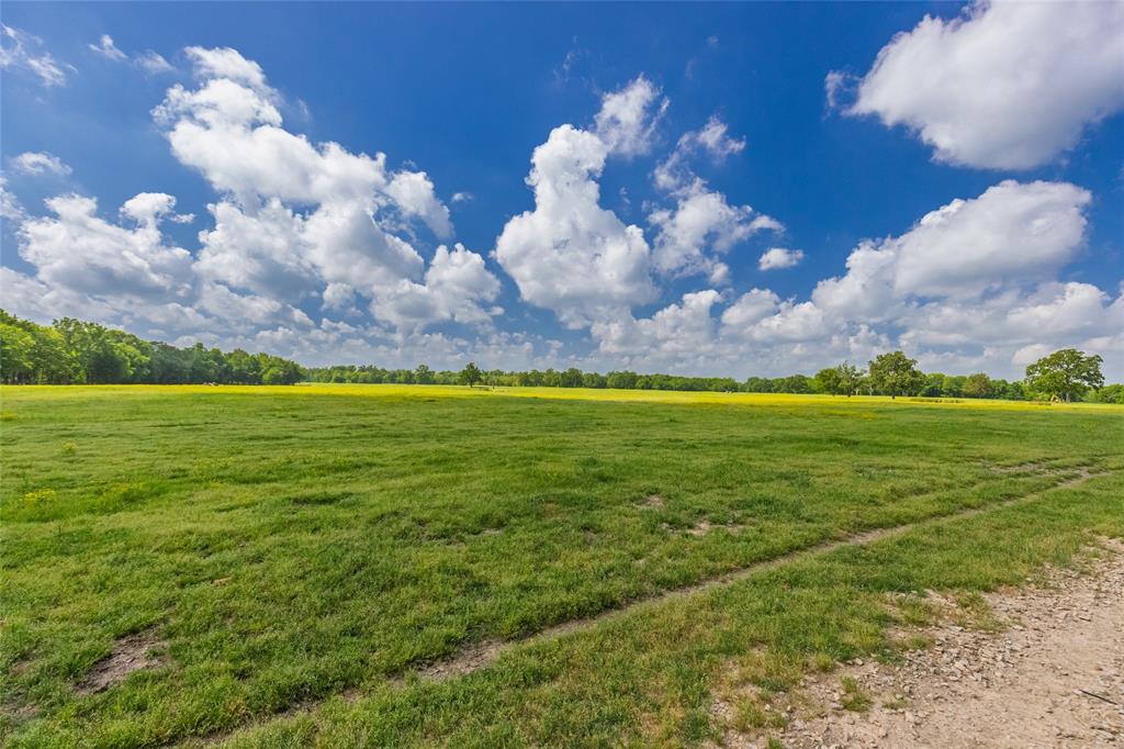 300 County Road 3636 Road - Photo 3