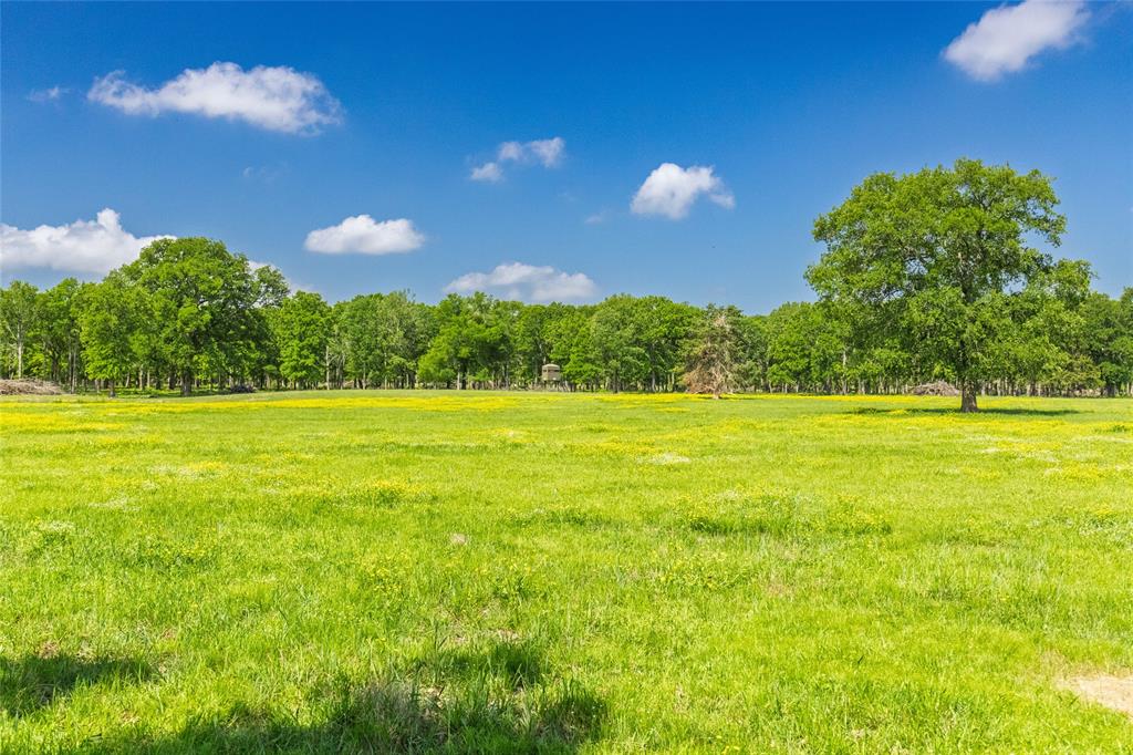 300 County Road 3636 Road - Photo 4
