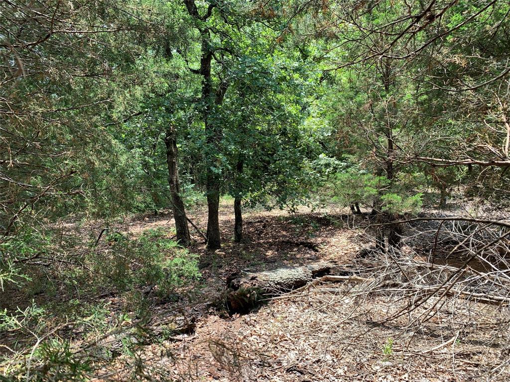 TBD FM 2494 - Photo 11