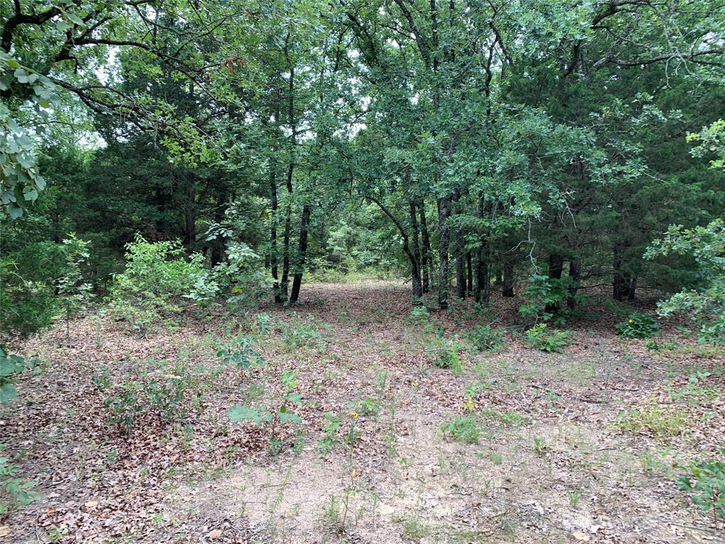 TBD FM 2494 - Photo 12