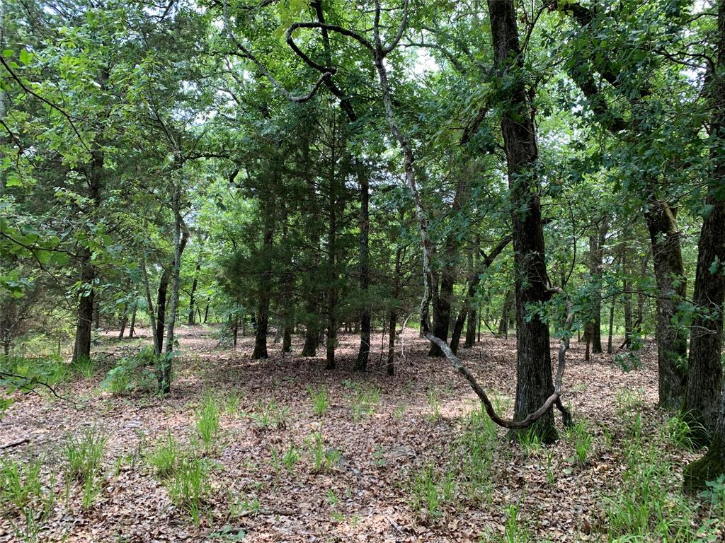 TBD FM 2494 - Photo 15