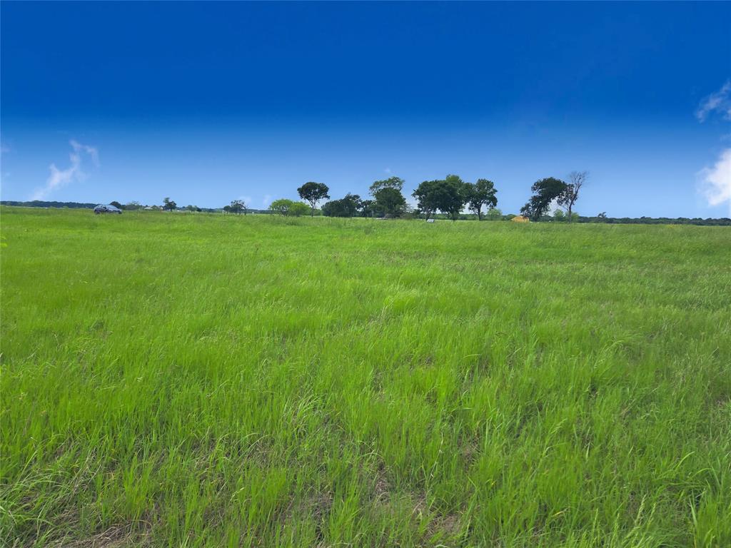Lot 82 Sunset Boulevard - Photo 14