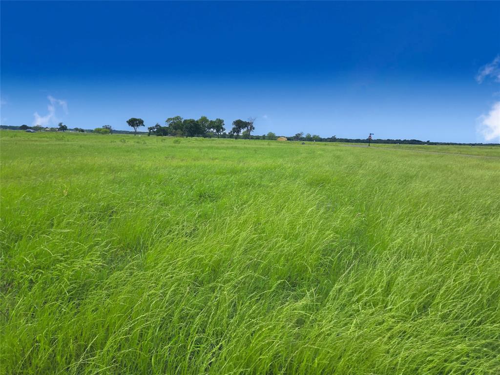 Lot 82 Sunset Boulevard - Photo 8