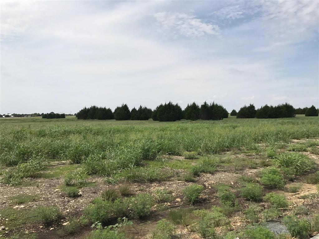 1751 Carroll Moran Trail - Photo 3