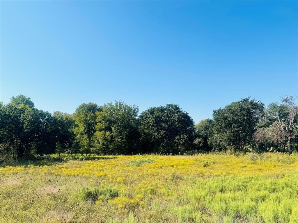 TBD Copper Canyon Drive - Photo 2