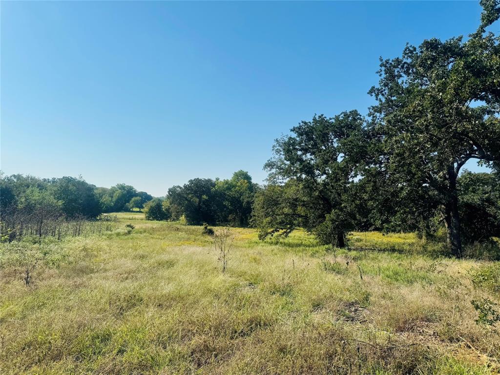 TBD Copper Canyon Drive - Photo 4