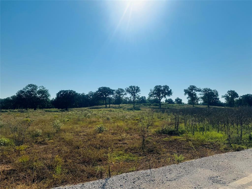 TBD Copper Canyon Drive - Photo 6