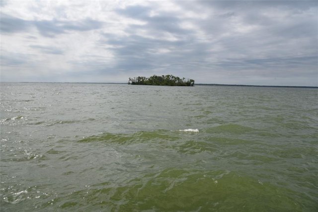 Photo 32