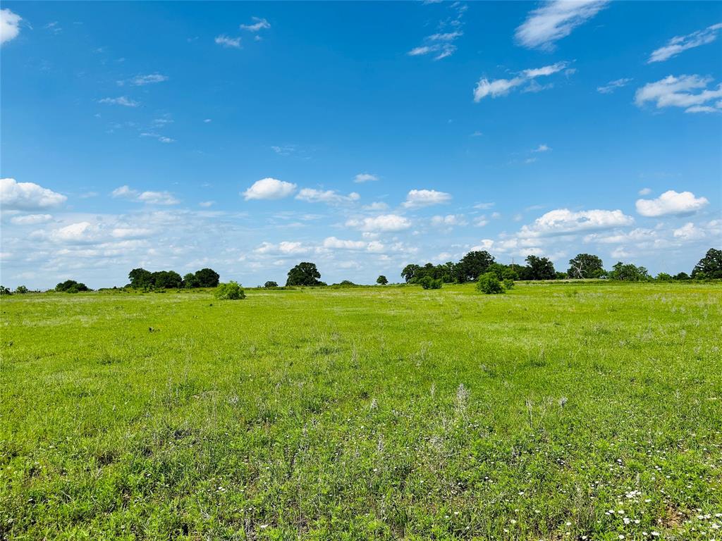 TBD Cr 429 - Photo 13