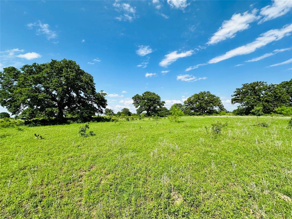 TBD Cr 429 - Photo 14