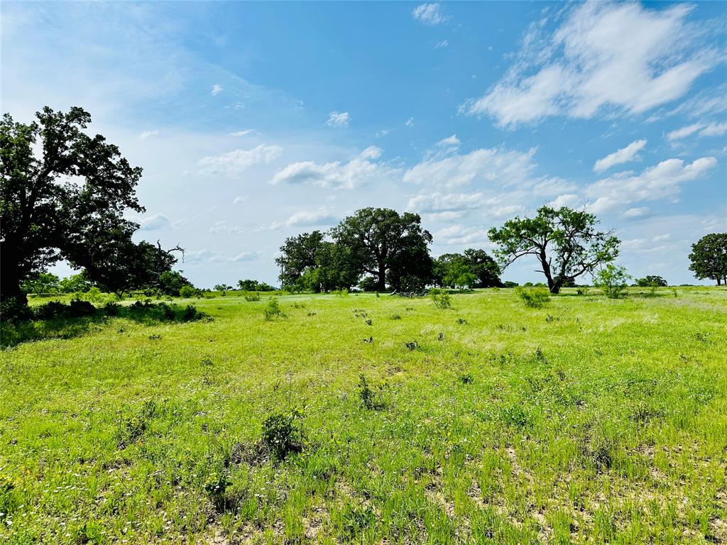 TBD Cr 429 - Photo 18