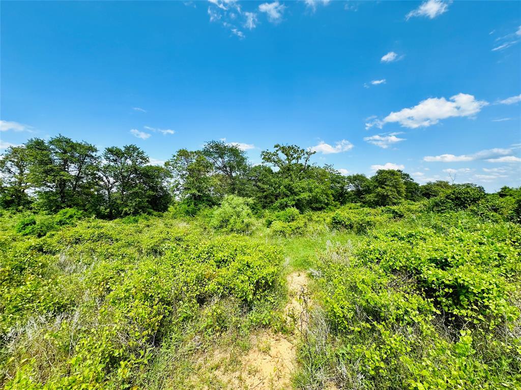 TBD Cr 429 - Photo 4