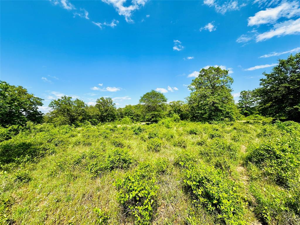 TBD Cr 429 - Photo 5
