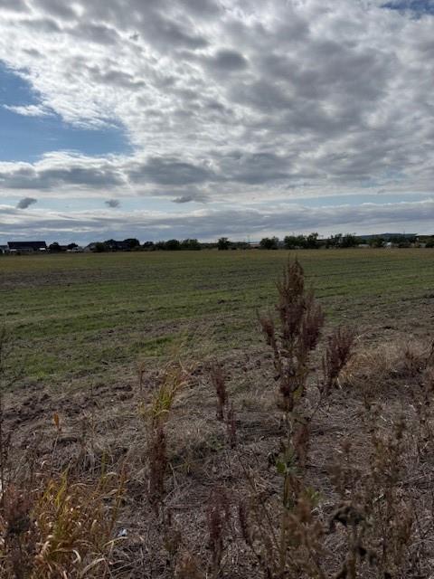 TBD FM 1750 Road - Photo 2