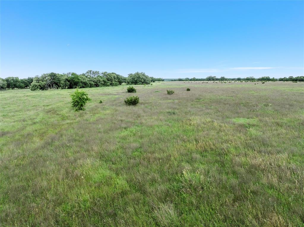 446 Grand Canyon Drive - Photo 10