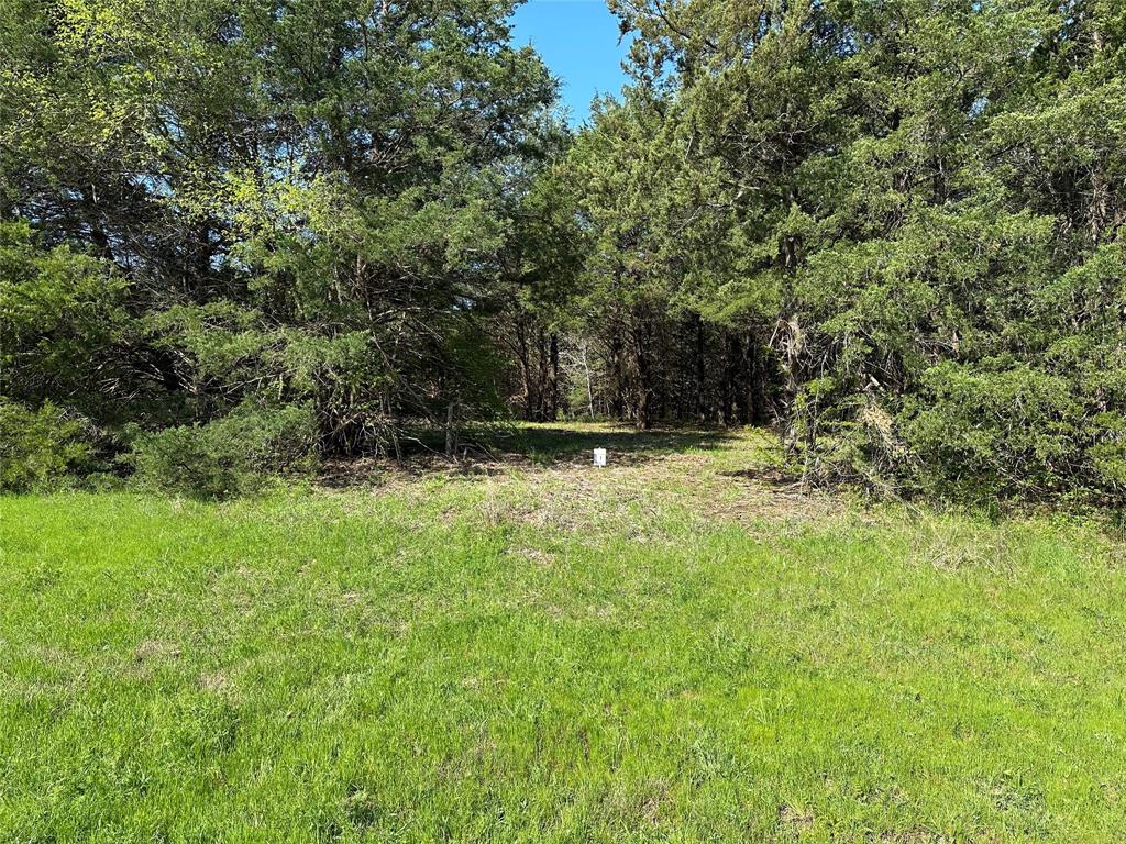 Tract 1 Farm to Market 1743 - Photo 11