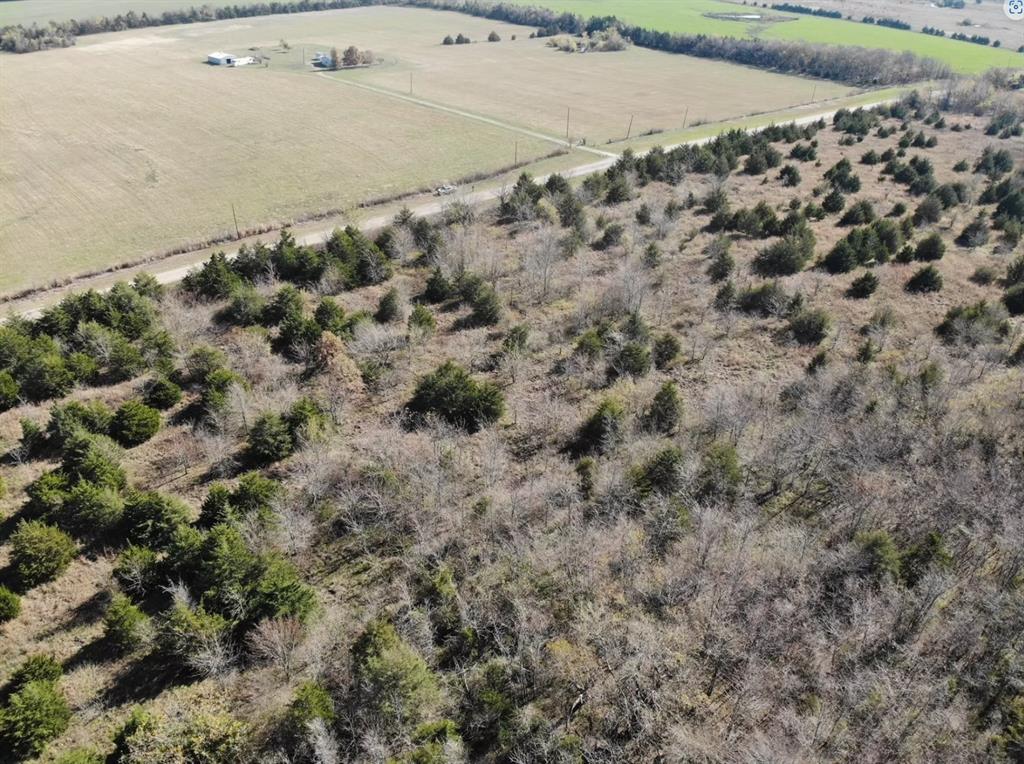 Tract 1 Farm to Market 1743 - Photo 25
