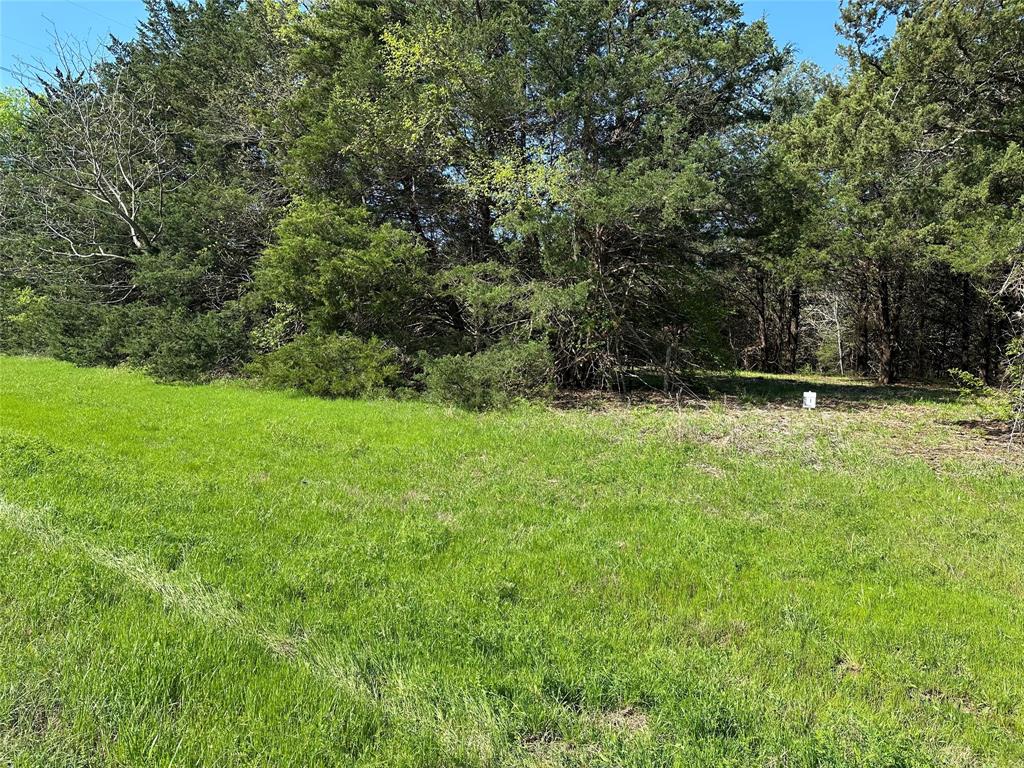 Tract 1 Farm to Market 1743 - Photo 5