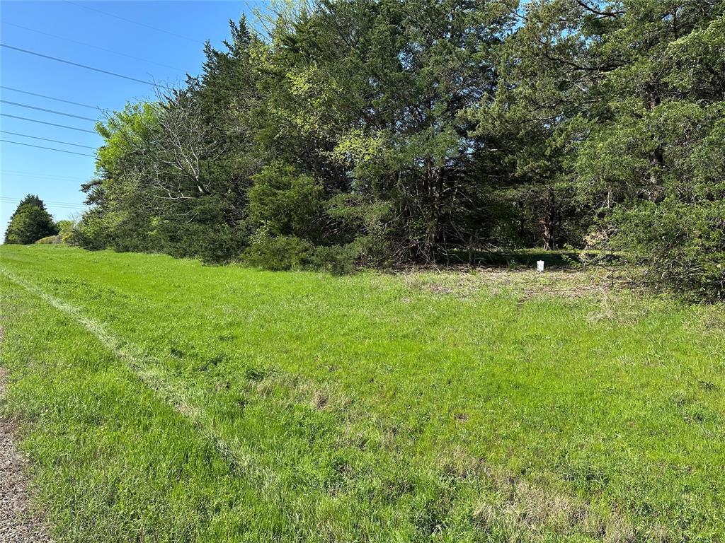 Tract 1 Farm to Market 1743 - Photo 6