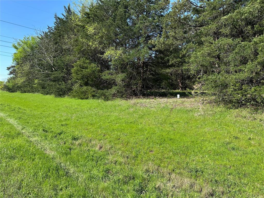 Tract 1 Farm to Market 1743 - Photo 7