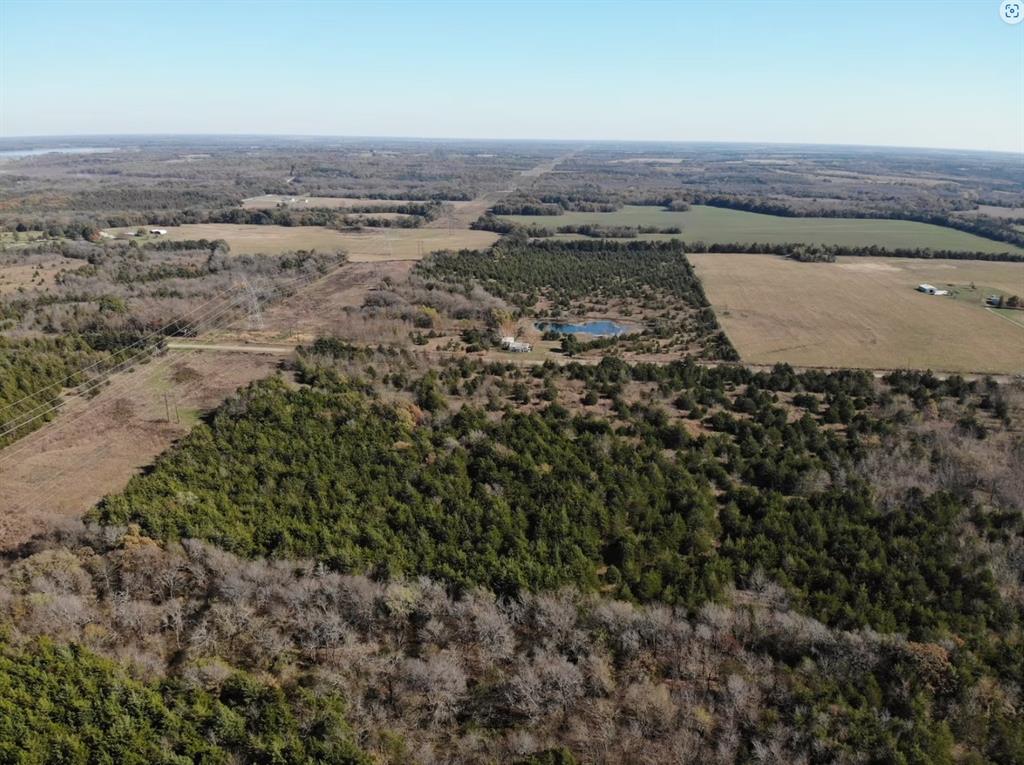 Tract 2 Farm to Market 1743 - Photo 18