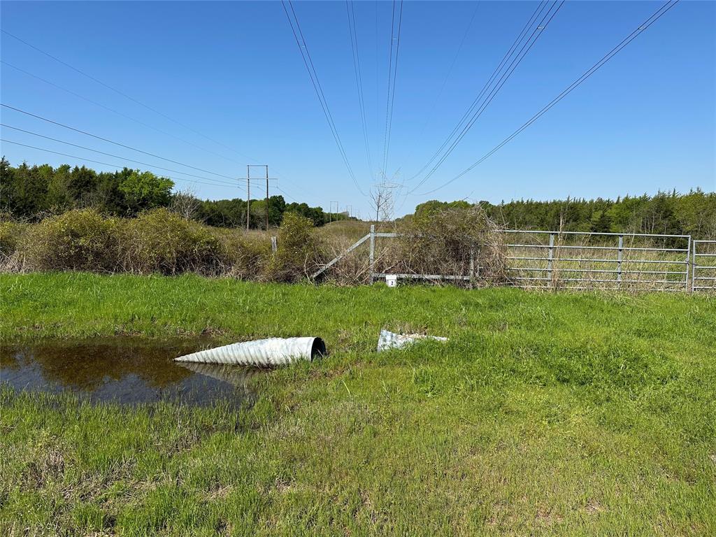 Tract 2 Farm to Market 1743 - Photo 3