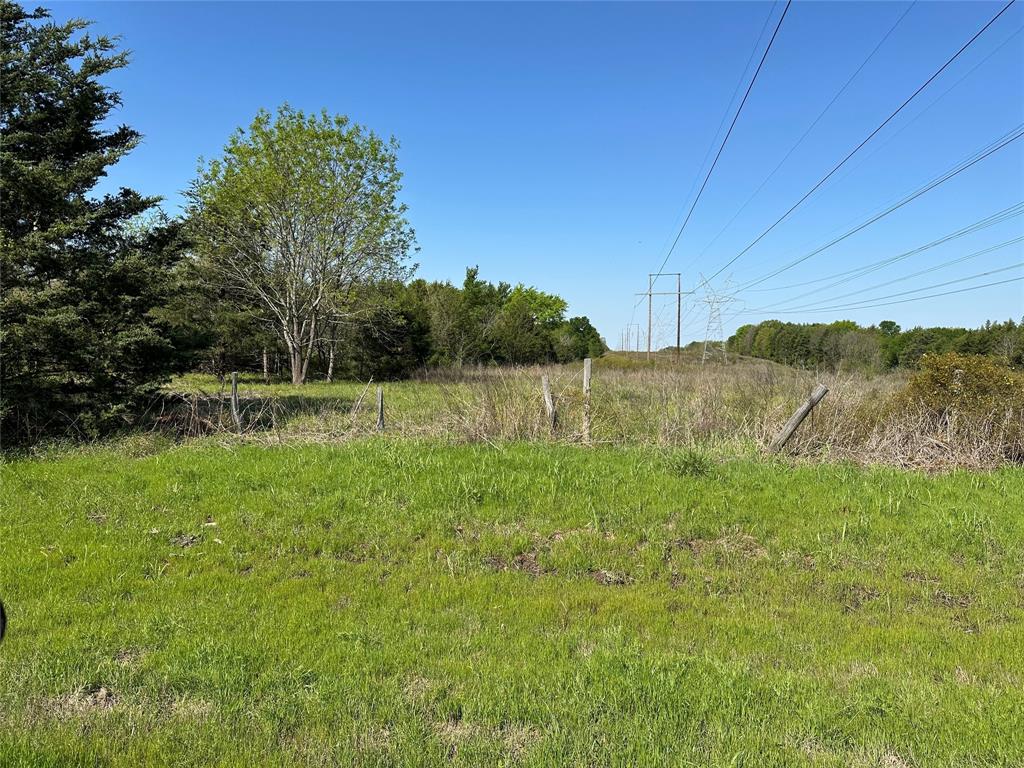 Tract 2 Farm to Market 1743 - Photo 5