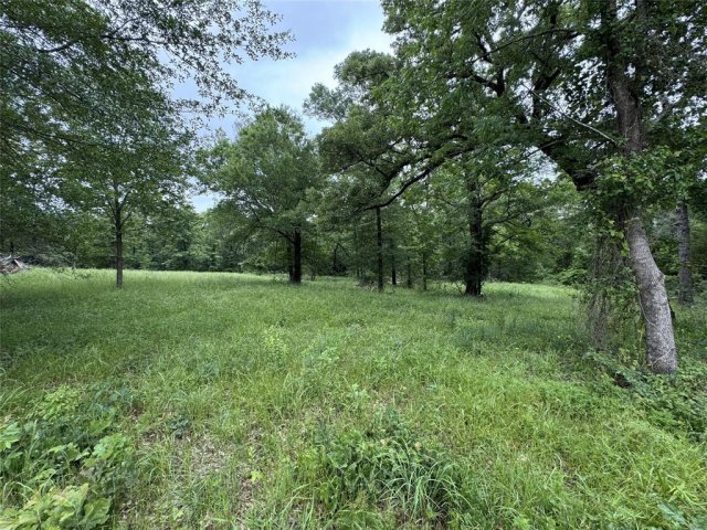TBD Rs County Road 3360