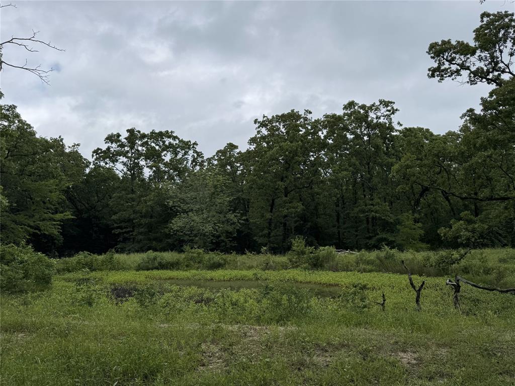 TBD Rs County Road 3360 - Photo 2