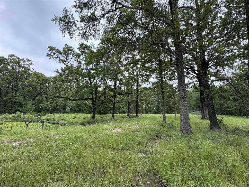 TBD Rs County Road 3360 - Photo 3