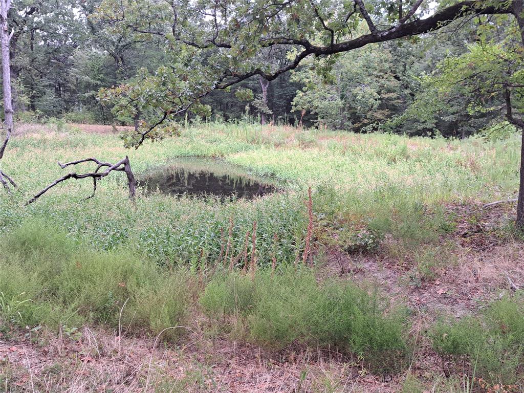 TBD Rs County Road 3360 - Photo 7