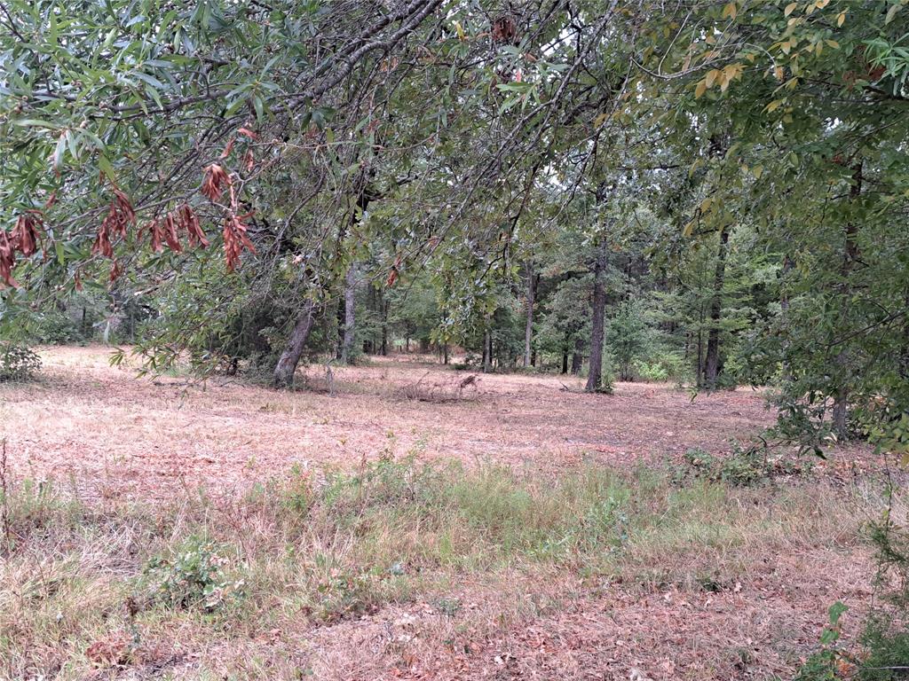 TBD Rs County Road 3360 - Photo 9