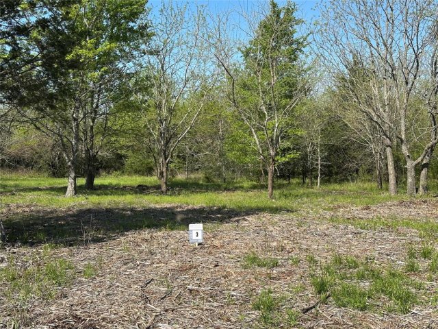 Tract 3 Farm to Market 1743