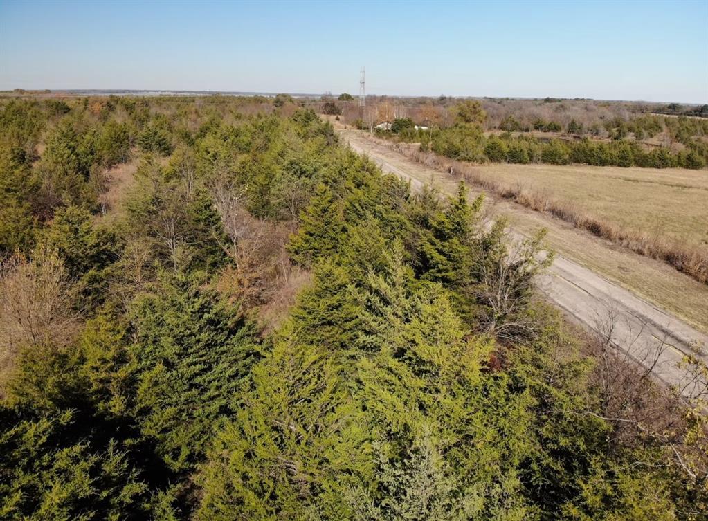 Tract 3 Farm to Market 1743 - Photo 13