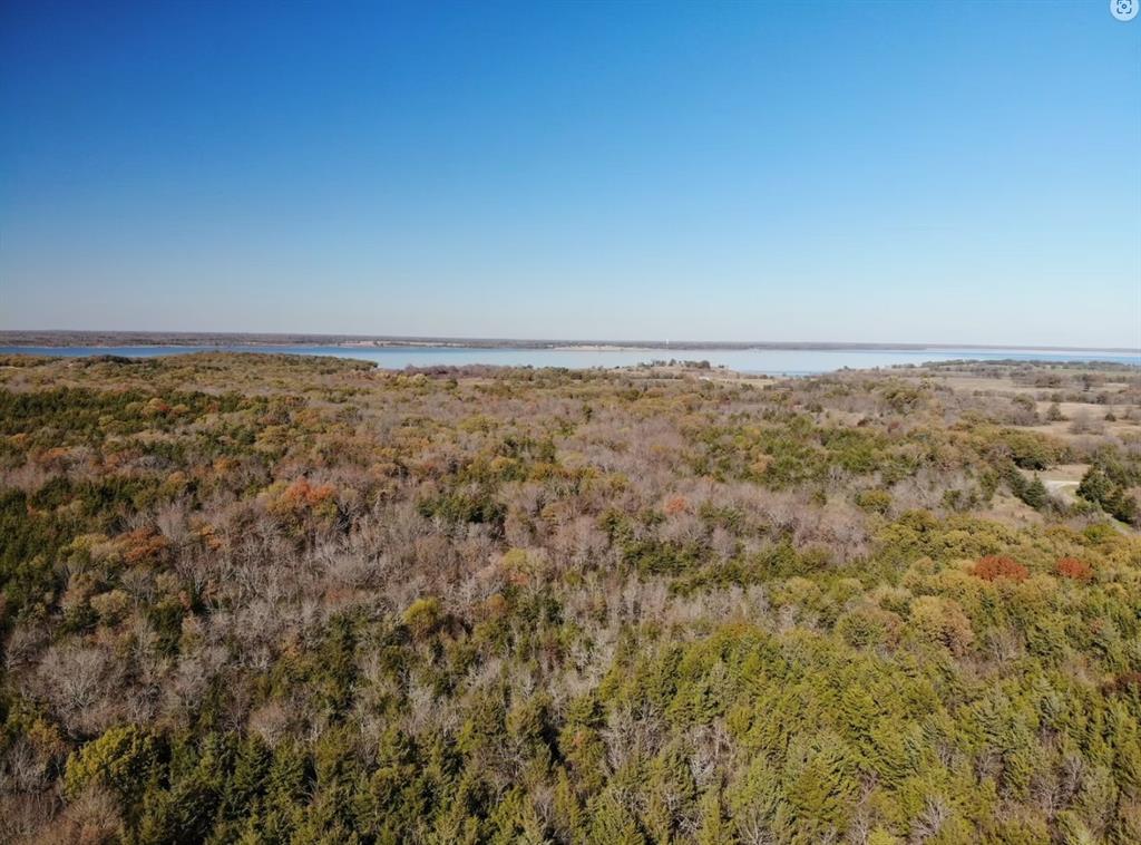 Tract 3 Farm to Market 1743 - Photo 15