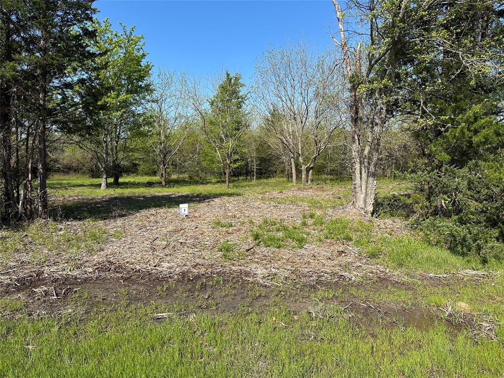 Tract 3 Farm to Market 1743 - Photo 4